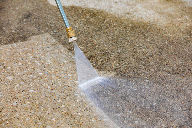 Best House Exterior Washing  in Olean, NY