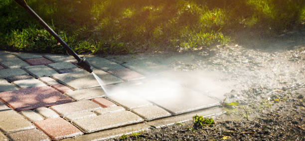 Best Pool Deck Cleaning  in Olean, NY